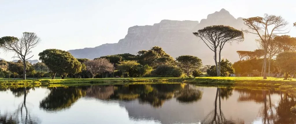 Wingwave Coaching Meike Besser Münster