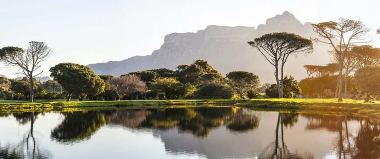 Wingwave Coaching Meike Besser Münster